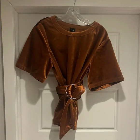 Brown Velvet Short Sleeve Top with Belt - Picture 2 of 6